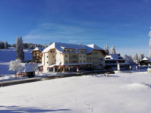 Bergkristall - Apartment - Feldberg