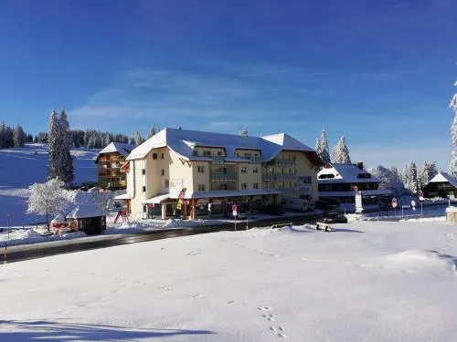 Bergkristall in Feldberg Schwarzwald, Deutschland