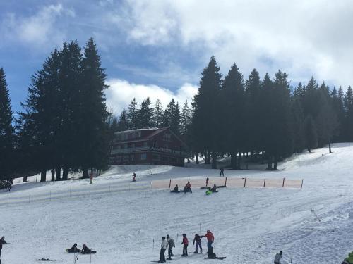 Bergkristall in Feldberg Schwarzwald, Deutschland