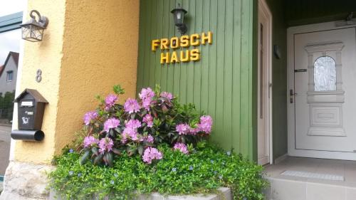 Frosch Haus Ferienwohnungen - Apartment - Cattenstedt