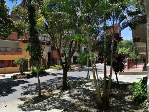 Selvática Alojamiento Eco, Medellín (photo 6)