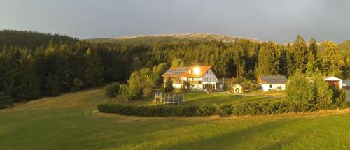 Ferienwohnung Lackenhäuser - Apartment - Neureichenau