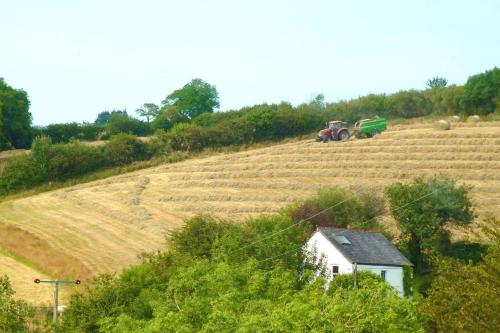 Writing Shed Wales