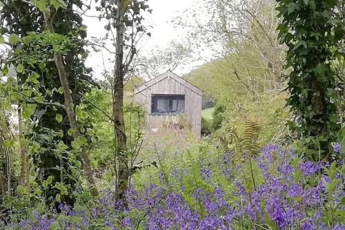 Writing Shed Wales