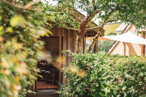 Writing Shed Wales