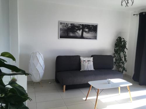 T2 Saint martin d'heres proche Campus - Apartment - La Tronche