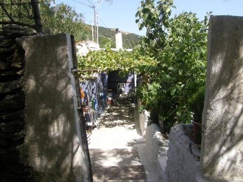  The House of Ikarus, Ferienwohnung in Agios Kirykos