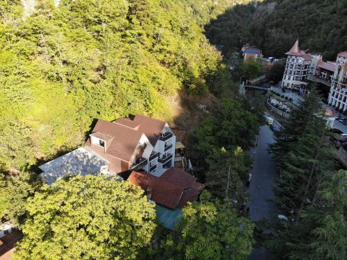 Borjomi UnderWood - Hotel - Borjomi