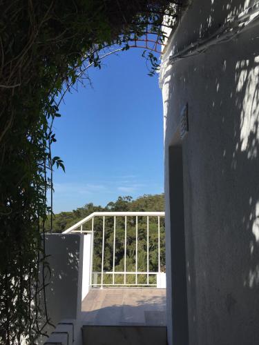 Casa do Jasmim, Sintra (foto 5)