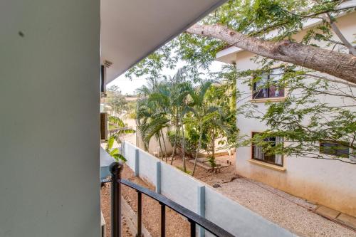 Aquamarine 4 in Coco