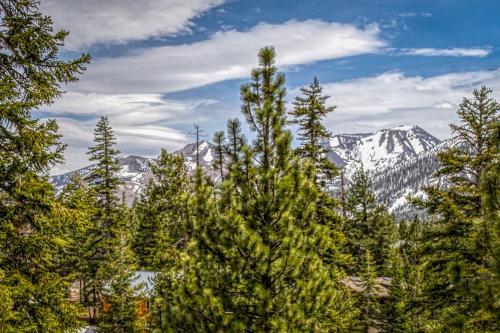 White Pines Mountain Lodge #7 - image 6