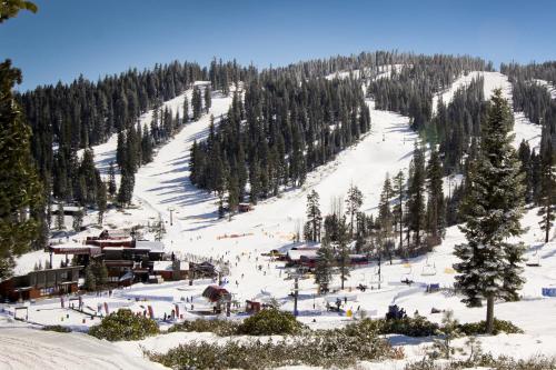 Northstar Ski Trails