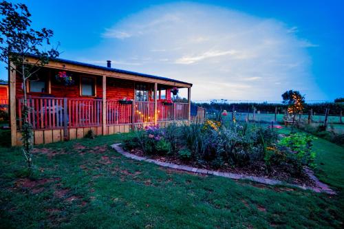 Cherry Tree Glamping 1