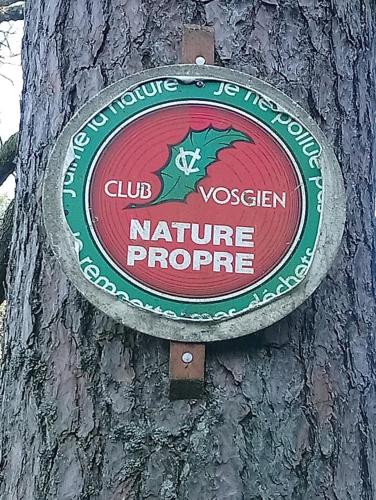 AU CŒUR DES SAPINS