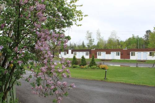 Motel Boisé - Accommodation - Blainville