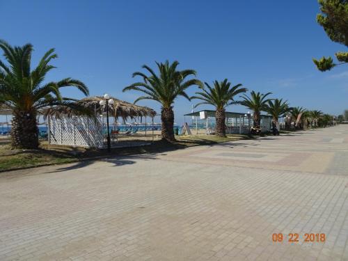 Paralia