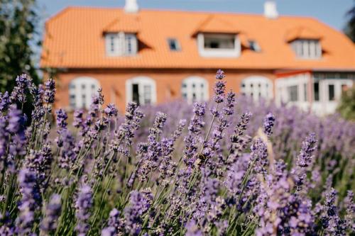 Jungshoved Præstegård