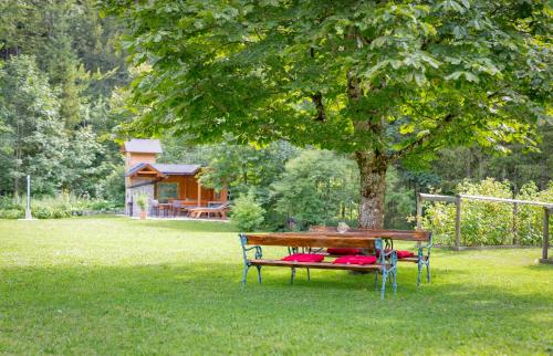 Ferienhaus Göstling – Göstling/Ybbs, FL