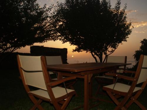 Gran Drago - image 4