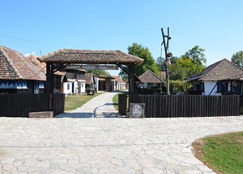 Etno park Avlija Glušci - Accommodation - Bogatić
