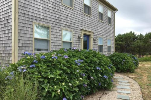 Sandpiper Cottage
