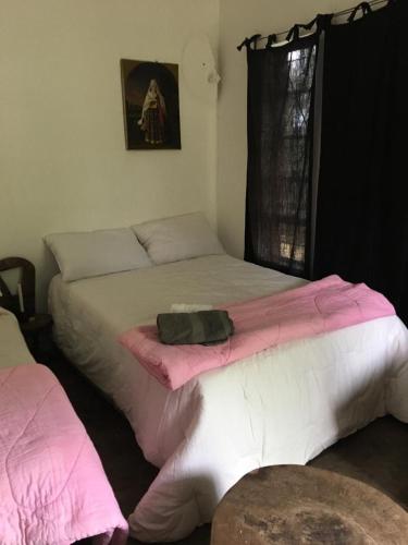 Nyangombe Backpackers in 奎奎