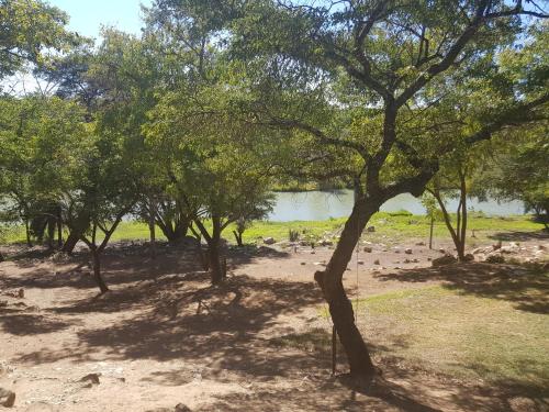 Nyangombe Backpackers in 奎奎