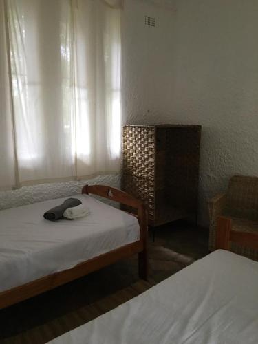 Nyangombe Backpackers in Midlands