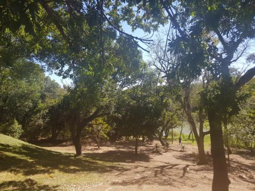 Nyangombe Backpackers in 奎奎