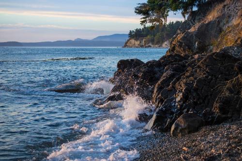 The Beach House on Lopez Island - image 12