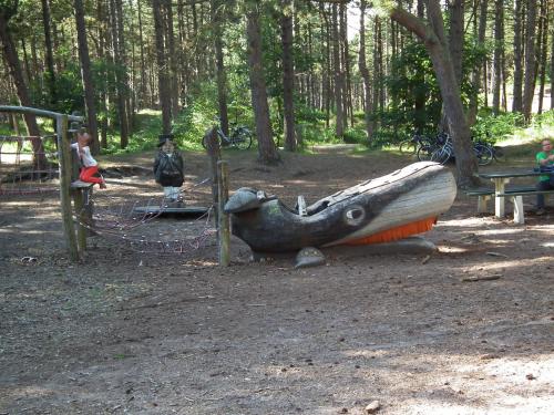 Hollumerduinen - image 4