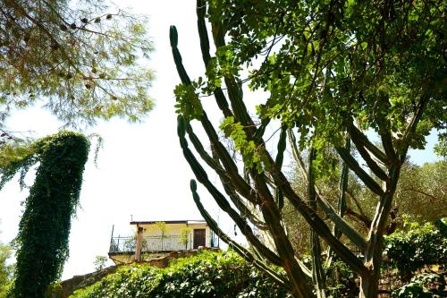  Casa Ricciolino - Gole Alcantara - Motta Camastra, Pension in Motta Camastra