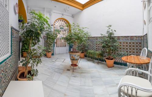 House 1892 Santa Cruz V33-1D, Sevilla (Foto 6)