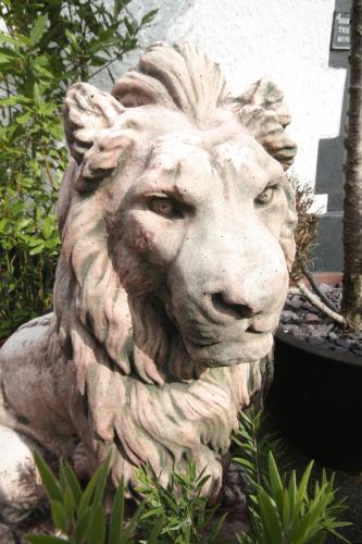 Red Lion - main image