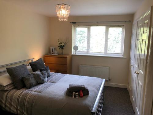 Serviced Accommodation, , Staffordshire