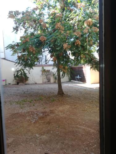 Albergue Convento S.Francisco - image 6
