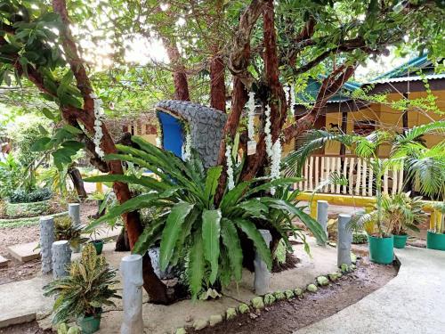 Enna's Place - 정원