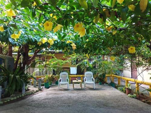 Enna's Place - 정원