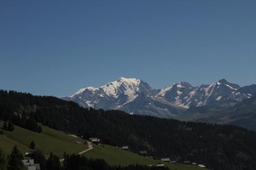 La Perle Des Alpes C2