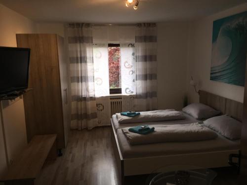 Pension Hesse photo 3