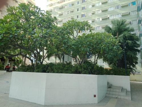 manseiro katsuura 448 nachikatsuura japan jp 649 5334 asis de marratxinet carrer de la font 15 majo