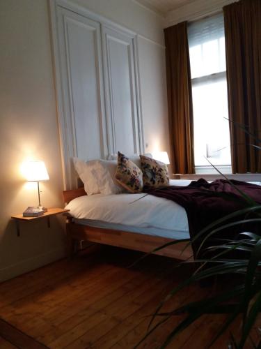 Quiet apartment in Antwerp near parc - B&B InterMezzo - business & leisure, Amberes (foto 2)