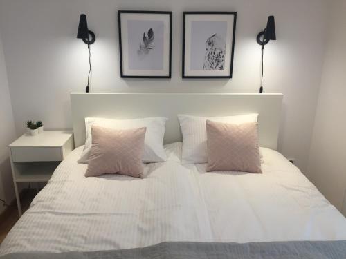 Apartament Spring, Szklarska Poręba (foto 7)