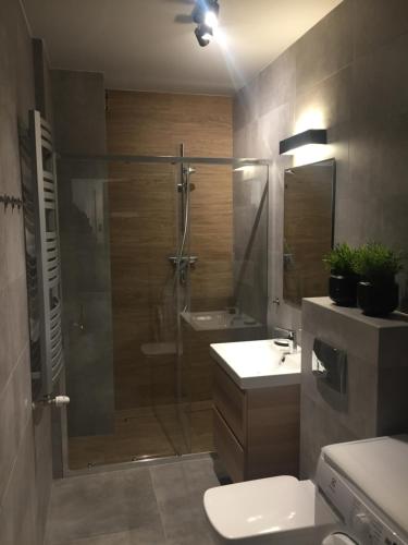 Apartament Spring, Szklarska Poręba (foto 6)