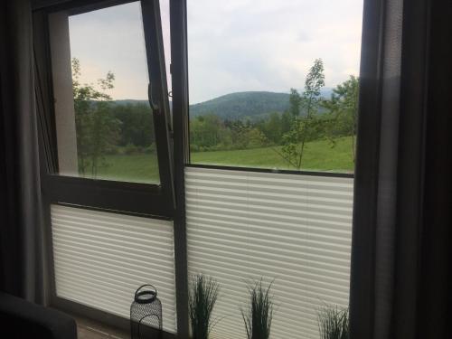 Apartament Spring, Szklarska Poręba (foto 10)