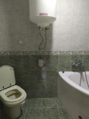 Садиба у Богдана, Skole (zdjęcie 10)