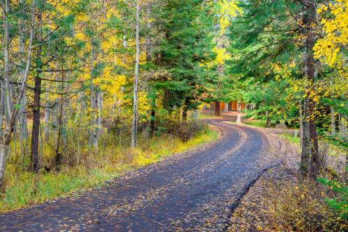 Black Butte Ranch: Hedge Nettle Cabin - image 7