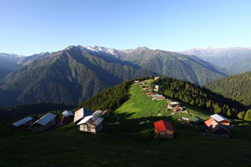  Pokut Doğa Konuk Evi, Rize bei Dernek