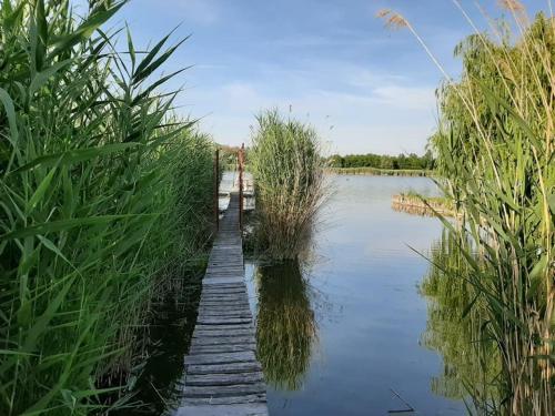  Tóparti faház /Lakeside wooden bungalow in 7133 Fadd-Dombori