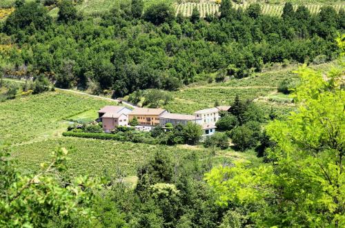 Casa Re - B&B e Vino a Montabone - Accommodation